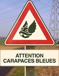 Posted Image